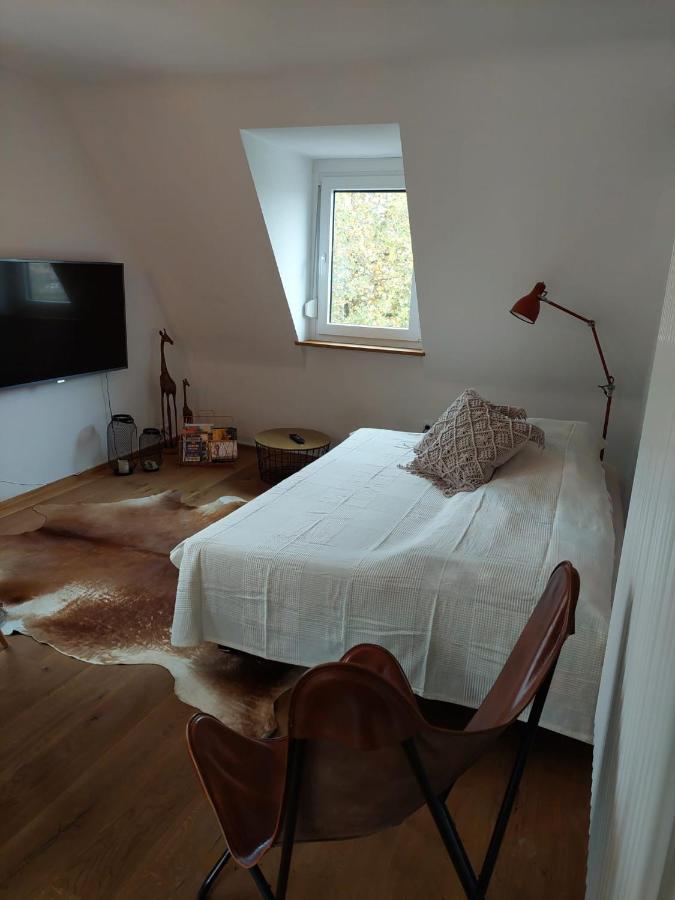 Stilvolle Direkt In Der Appartement Würzburg